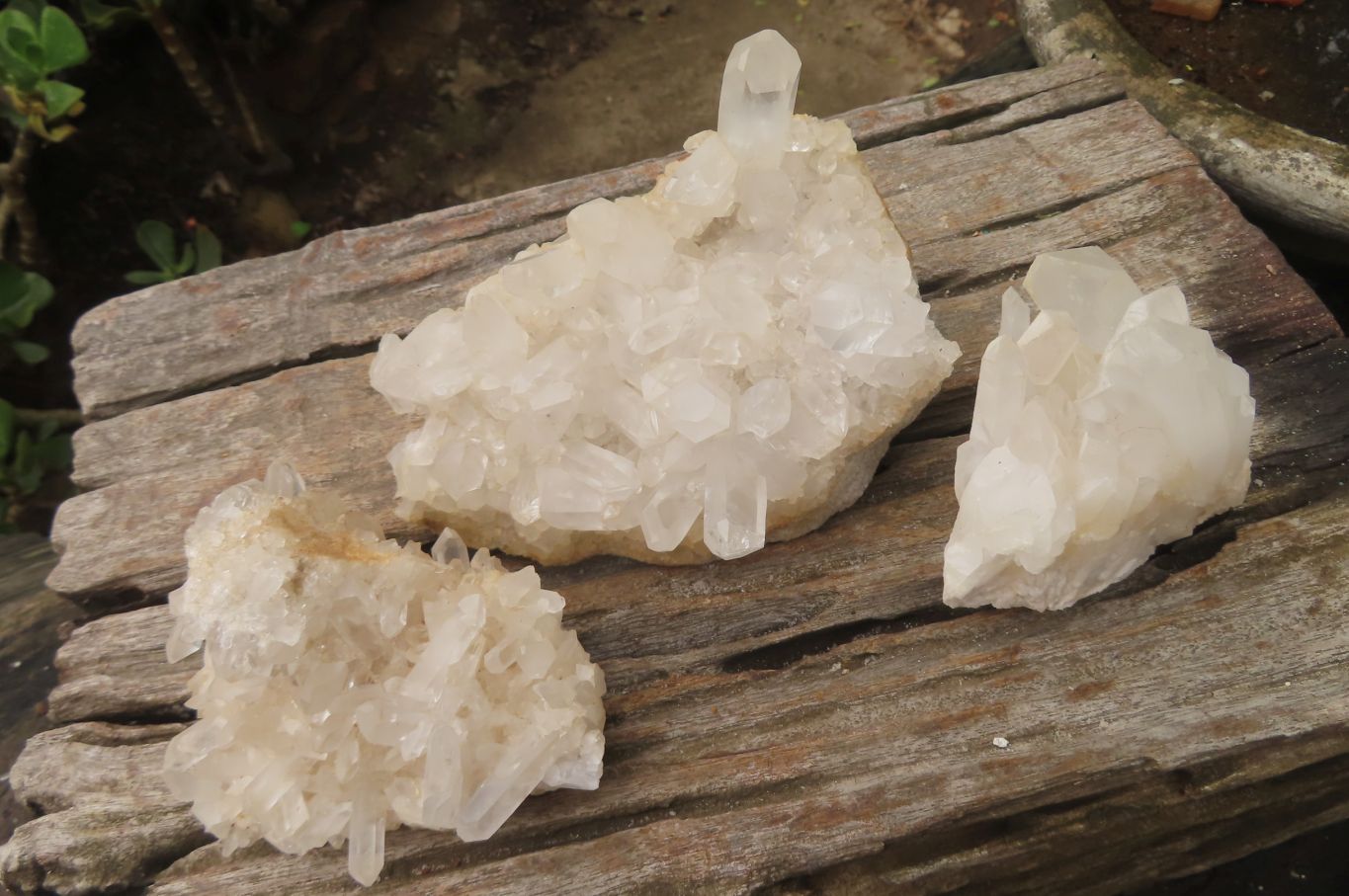Natural Clear Quartz Crystal Clusters x 5 From Madagascar - Toprock Gemstones and Minerals 