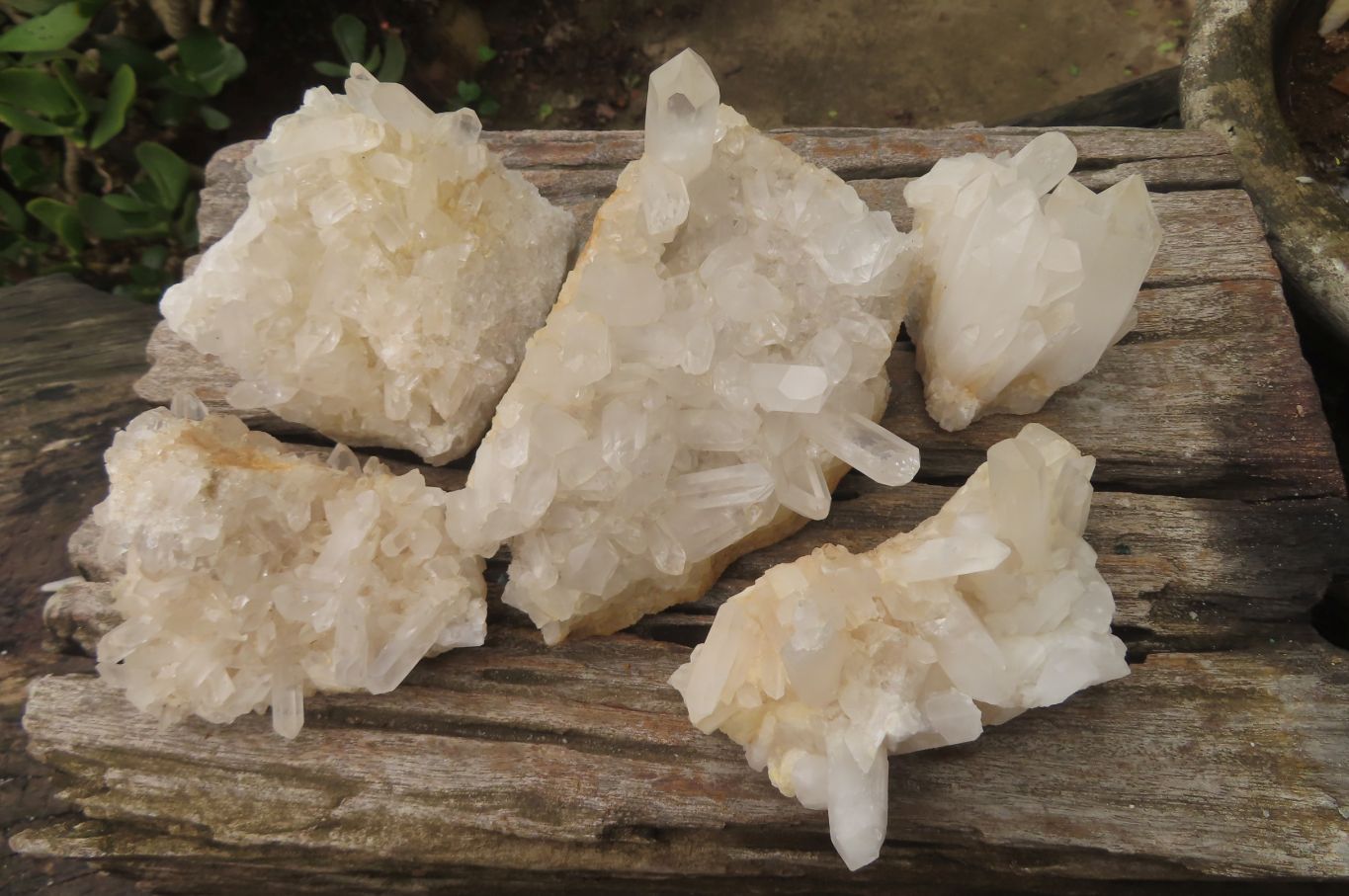 Natural Clear Quartz Crystal Clusters x 5 From Madagascar - Toprock Gemstones and Minerals 