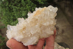 Natural Clear Quartz Crystal Clusters x 5 From Madagascar - Toprock Gemstones and Minerals 