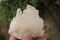 Natural Clear Quartz Crystal Clusters x 5 From Madagascar - Toprock Gemstones and Minerals 