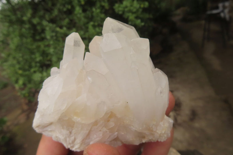 Natural Clear Quartz Crystal Clusters x 5 From Madagascar - Toprock Gemstones and Minerals 