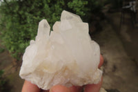 Natural Clear Quartz Crystal Clusters x 5 From Madagascar - Toprock Gemstones and Minerals 