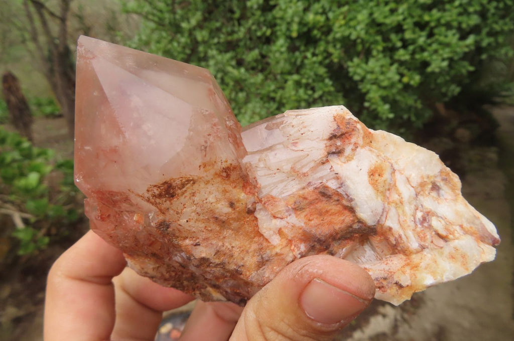 Natural Hematoid Quartz Specimens x 3 From Karoi, Zimbabwe - Toprock Gemstones and Minerals 