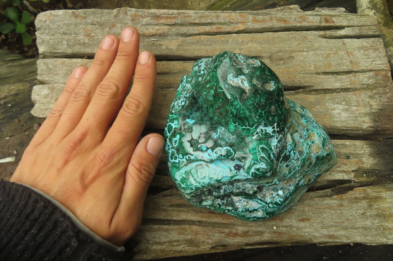 Polished Flower Banded Malacolla Free Forms x 2 From Congo - Toprock Gemstones and Minerals 