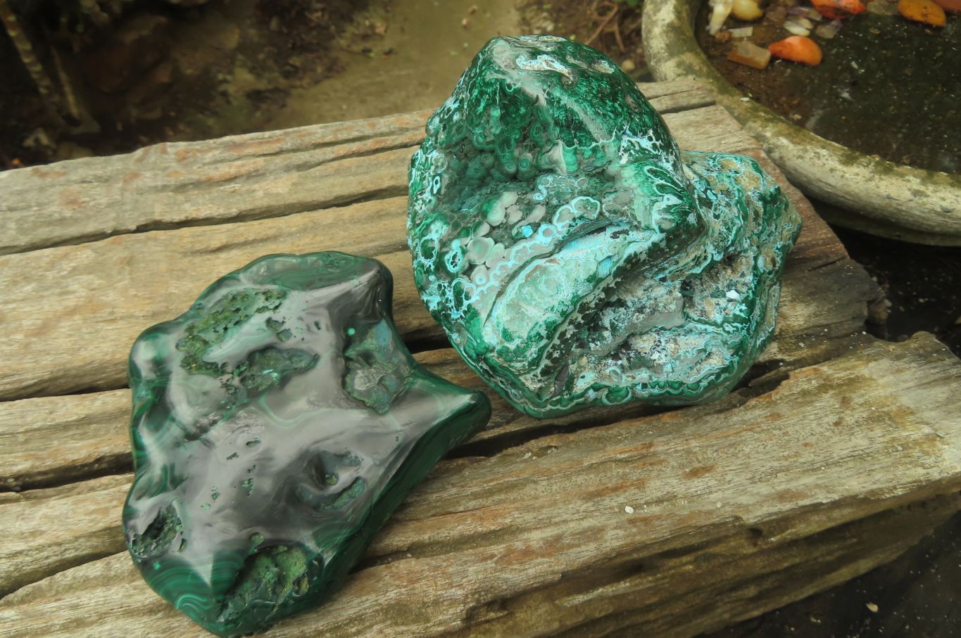 Polished Flower Banded Malacolla Free Forms x 2 From Congo - Toprock Gemstones and Minerals 