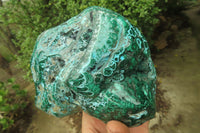 Polished Flower Banded Malacolla Free Forms x 2 From Congo - Toprock Gemstones and Minerals 