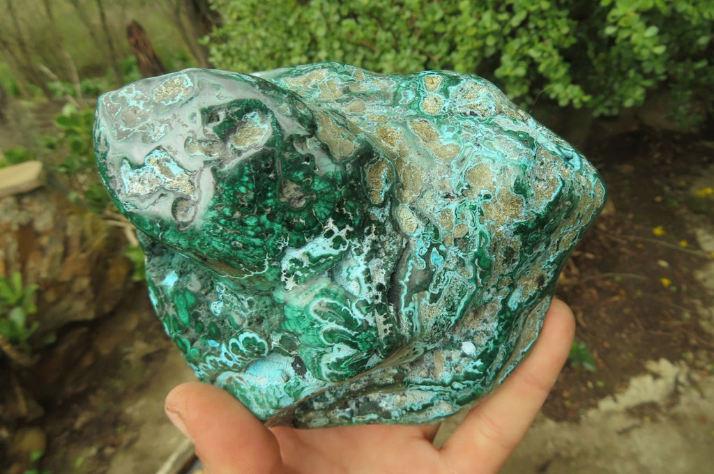 Polished Flower Banded Malacolla Free Forms x 2 From Congo - Toprock Gemstones and Minerals 