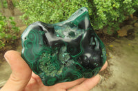Polished Flower Banded Malacolla Free Forms x 2 From Congo - Toprock Gemstones and Minerals 