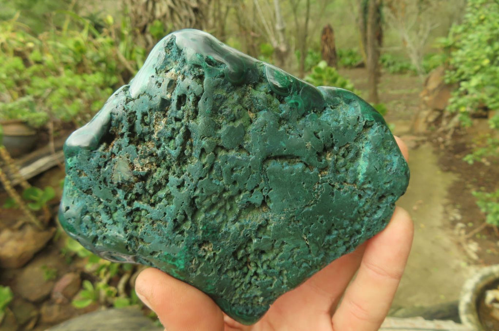 Polished Flower Banded Malacolla Free Forms x 2 From Congo - Toprock Gemstones and Minerals 