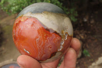 Polished Polychrome Jasper Spheres x 4 From Madagascar - Toprock Gemstones and Minerals 