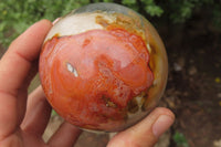 Polished Polychrome Jasper Spheres x 4 From Madagascar - Toprock Gemstones and Minerals 