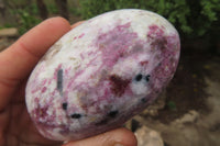 Polished Rubellite Pink Tourmaline Standing Free Forms x 6 From Ambatondrazaka, Madagascar - Toprock Gemstones and Minerals 