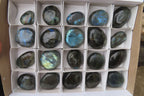 Polished Labradorite Palm Stones x 20 From Tulear, Madagascar - Toprock Gemstones and Minerals 
