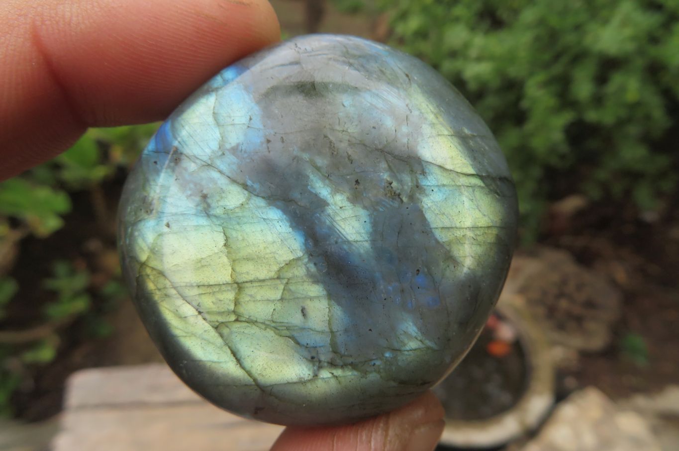 Polished Labradorite Palm Stones x 20 From Tulear, Madagascar - Toprock Gemstones and Minerals 