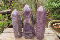 Polished Lepidolite Points x 3 From Ambatondrazaka, Madagascar - Toprock Gemstones and Minerals 