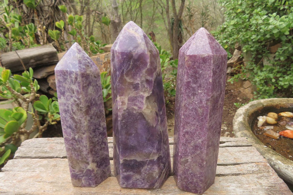 Polished Lepidolite Points x 3 From Ambatondrazaka, Madagascar - Toprock Gemstones and Minerals 