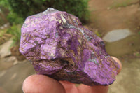 Natural Metallic Purpurite Cobbed Specimens x 12 From Erongo, Namibia - Toprock Gemstones and Minerals 