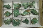 Natural Jade Cobbed Specimens x 12 From Swaziland - Toprock Gemstones and Minerals 