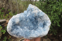 Natural Celestite Geode Specimen x 1 From Sakoany, Madagascar - Toprock Gemstones and Minerals 