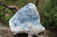 Natural Celestite Geode Specimen x 1 From Sakoany, Madagascar - Toprock Gemstones and Minerals 
