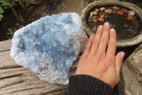 Natural Celestite Geode Specimen x 1 From Sakoany, Madagascar - Toprock Gemstones and Minerals 
