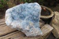 Natural Celestite Geode Specimen x 1 From Sakoany, Madagascar - Toprock Gemstones and Minerals 