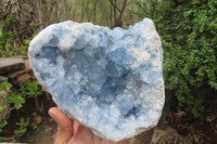 Natural Celestite Geode Specimen x 1 From Sakoany, Madagascar - Toprock Gemstones and Minerals 