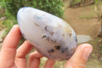 Polished Agate Standing Free Forms x 6 From Madagascar - Toprock Gemstones and Minerals 