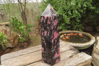 Polished Rhodonite Tower x 1 From Ambindavato, Madagascar - Toprock Gemstones and Minerals 