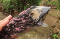 Polished Rhodonite Tower x 1 From Ambindavato, Madagascar - Toprock Gemstones and Minerals 