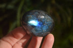 Polished Labradorite Palm Stones x 24 From Madagascar - Toprock Gemstones and Minerals 