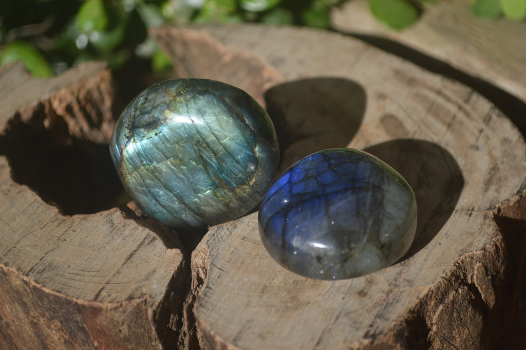 Polished Labradorite Palm Stones x 24 From Madagascar - Toprock Gemstones and Minerals 