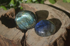 Polished Labradorite Palm Stones x 24 From Madagascar - Toprock Gemstones and Minerals 