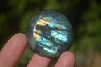 Polished Labradorite Palm Stones x 24 From Madagascar - Toprock Gemstones and Minerals 