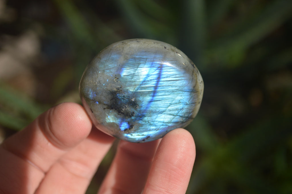 Polished Labradorite Palm Stones x 24 From Madagascar - Toprock Gemstones and Minerals 