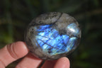 Polished Labradorite Palm Stones x 24 From Madagascar - Toprock Gemstones and Minerals 