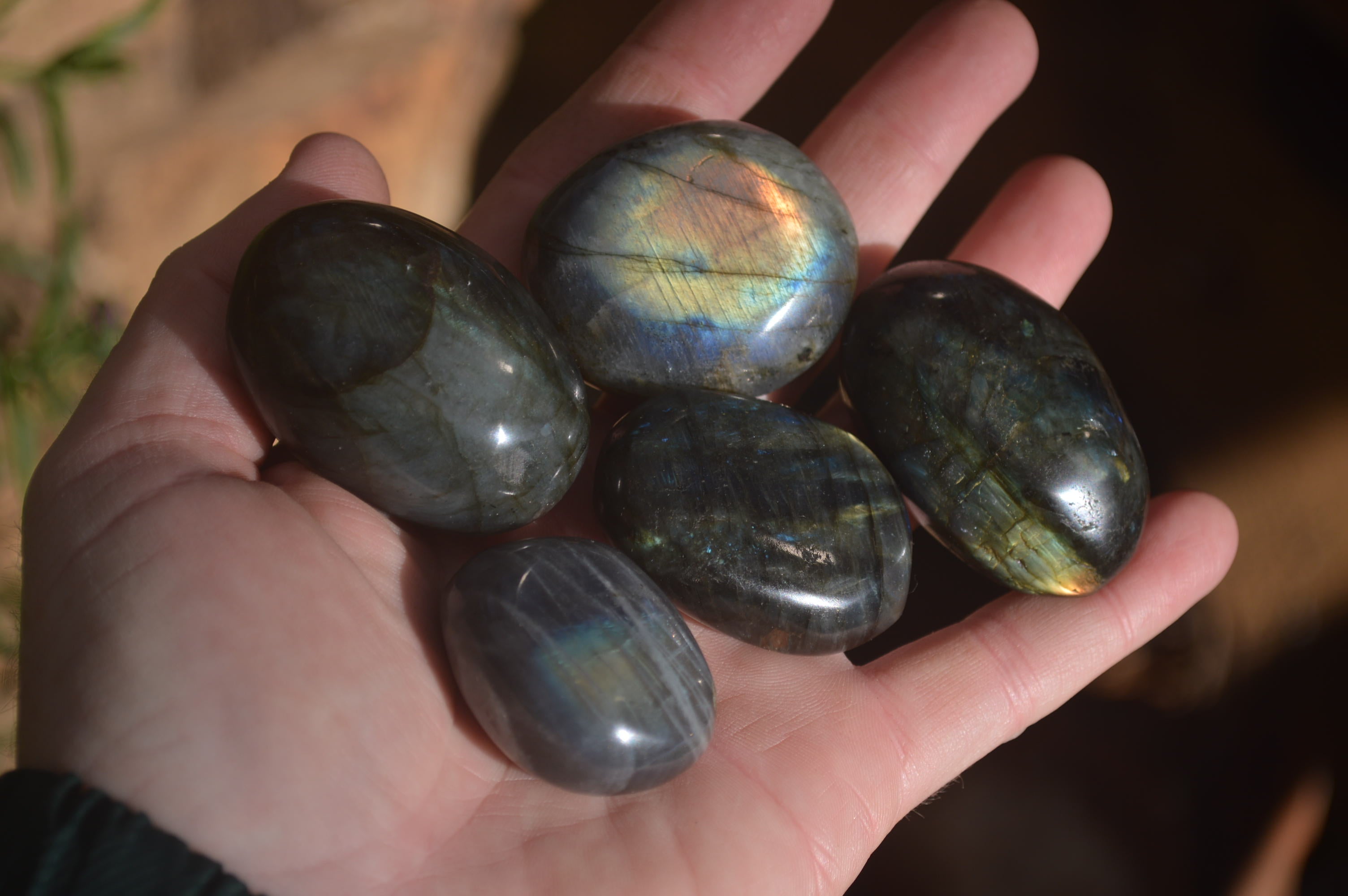 Polished Labradorite Palm Stones x 24 From Madagascar - Toprock Gemstones and Minerals 