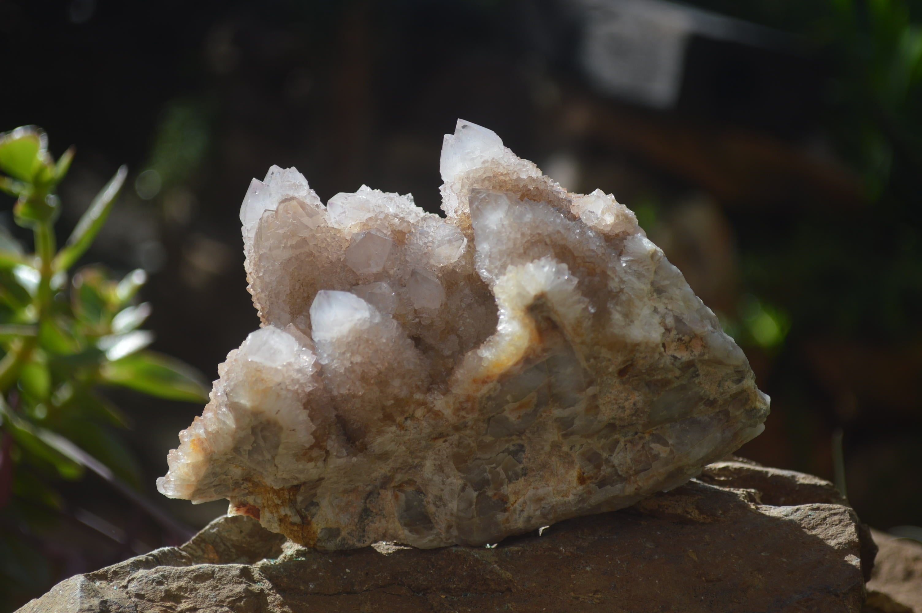 Natural Pale Spirit Quartz Clusters x 3 From Boekenhouthoek, South Africa - Toprock Gemstones and Minerals 