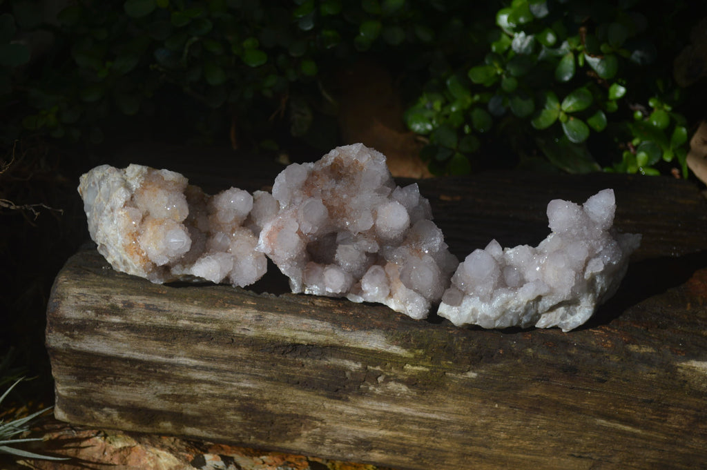 Natural Pale Spirit Quartz Clusters x 3 From Boekenhouthoek, South Africa - Toprock Gemstones and Minerals 