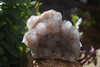 Natural Pale Spirit Quartz Clusters x 3 From Boekenhouthoek, South Africa - Toprock Gemstones and Minerals 