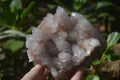 Natural Pale Spirit Quartz Clusters x 3 From Boekenhouthoek, South Africa - Toprock Gemstones and Minerals 