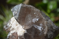 Natural Smokey Quartz Crystal Specimens x 3 From Zomba, Malawi - Toprock Gemstones and Minerals 