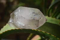 Natural Smokey Quartz Crystal Specimens x 3 From Zomba, Malawi - Toprock Gemstones and Minerals 