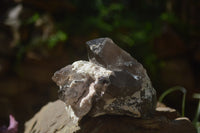 Natural Smokey Quartz Crystal Specimens x 3 From Zomba, Malawi - Toprock Gemstones and Minerals 