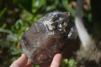 Natural Smokey Quartz Crystal Specimens x 3 From Zomba, Malawi - Toprock Gemstones and Minerals 