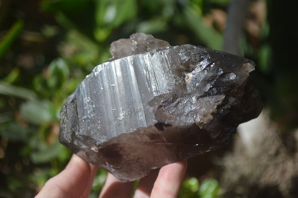 Natural Smokey Quartz Crystal Specimens x 3 From Zomba, Malawi - Toprock Gemstones and Minerals 