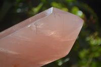 Polished Double Terminated Rose Quartz Points x 2 Madagascar - Toprock Gemstones and Minerals 