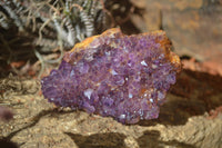 Natural Amethystos Amethyst Specimens x 6 From Kwaggafontein, South Africa - Toprock Gemstones and Minerals 