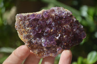 Natural Amethystos Amethyst Specimens x 6 From Kwaggafontein, South Africa - Toprock Gemstones and Minerals 