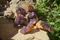 Natural Amethystos Amethyst Specimens x 6 From Kwaggafontein, South Africa - Toprock Gemstones and Minerals 